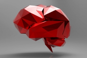 Zdjęcie Neurobiopsychologia