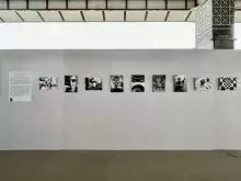Prezentacja fotografii na wystawie - Mikołaj Janiak