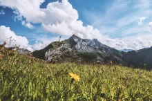 Krajobraz Alp Austriackich z zieloną łąką na pierwszym planie - fot. Kristina Schmid