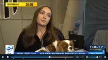 Pies na WNS - kadr z reportażu TVN