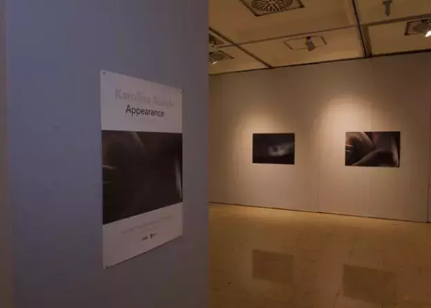 Wystawa monograficzna prof. Karoliny Aszyk pt. „Appearance" - FassART Gallery w Istambule