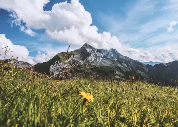 Krajobraz Alp Austriackich z zieloną łąką na I planie - fot. Kristina Schmid