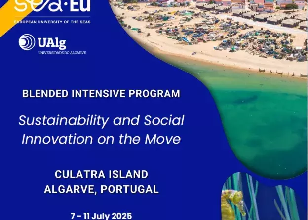 Blended Intensive Program