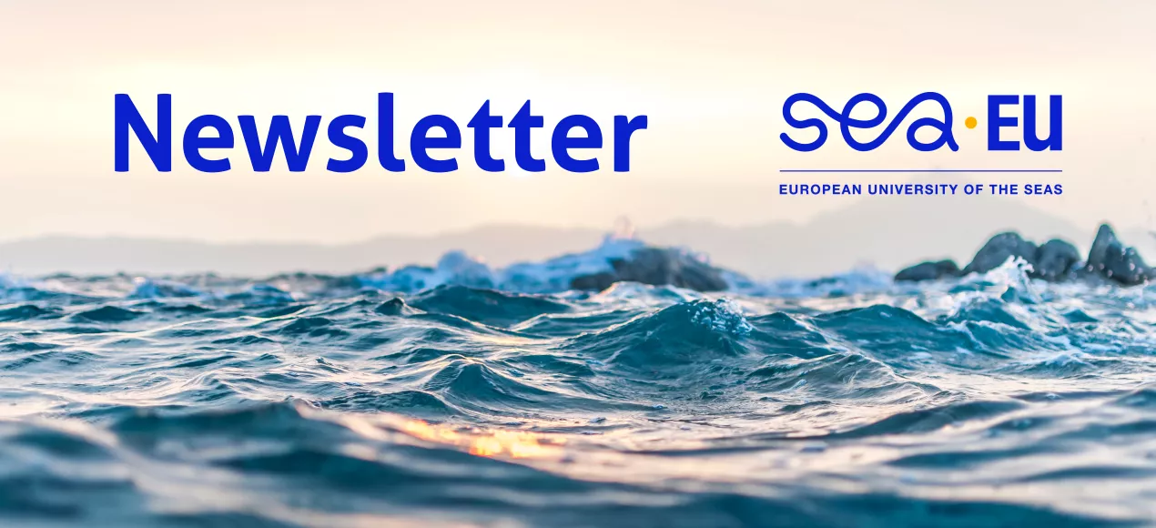 Grafika z morskimi falami w blasku słońca, na tle nieba niebieski napis Newsletter i logo Sea-EU