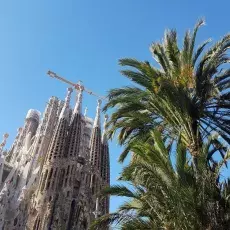 Widok od dołu na katedrę Sagrada Familia, na pierwszym planie palmy