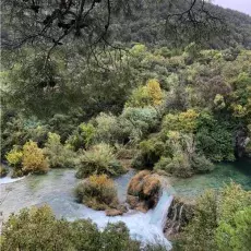 Krajobraz z roślinnością śródziemnomorską, sadzawką i wodospadem