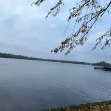 13.	Jezioro Ełckie, fot. Marek Suchwałko 